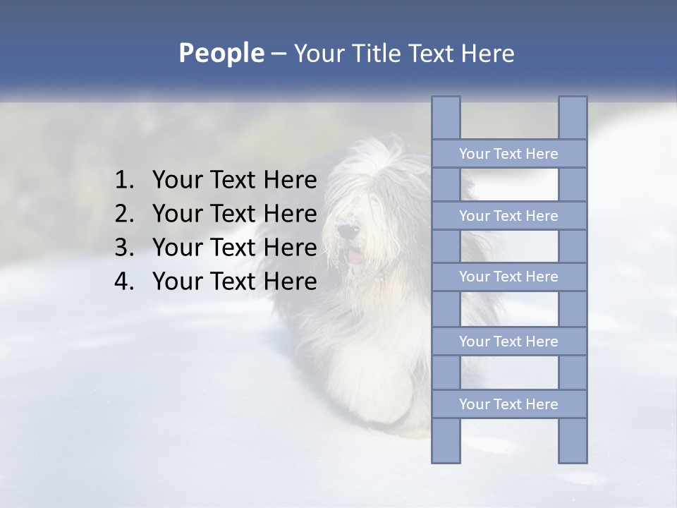 A Dog Is Standing In The Snow On A Sunny Day PowerPoint Template