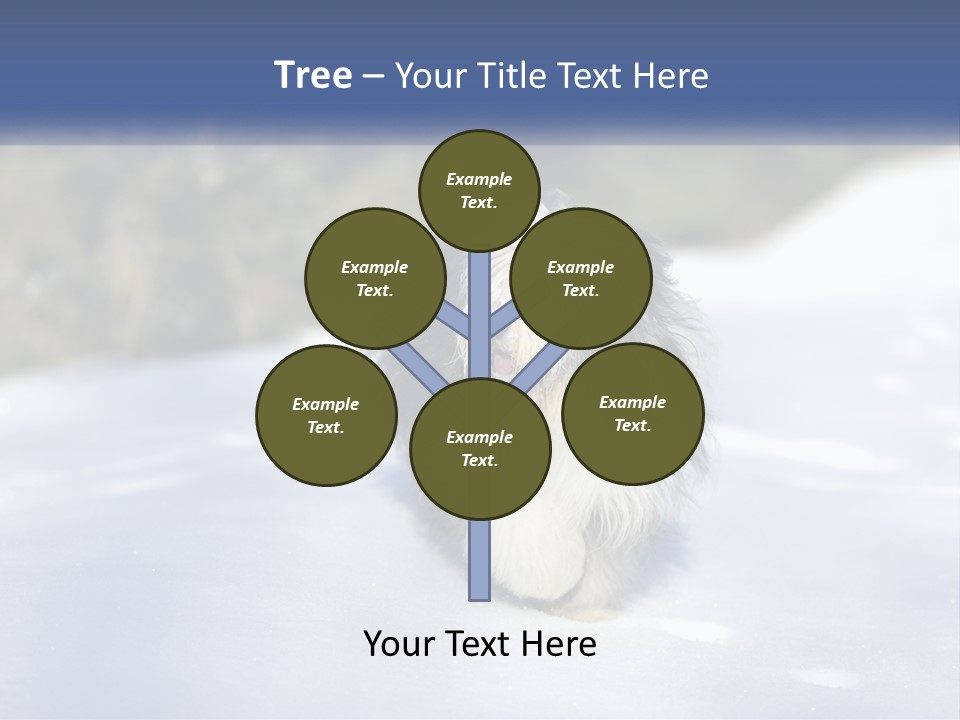 A Dog Is Standing In The Snow On A Sunny Day PowerPoint Template