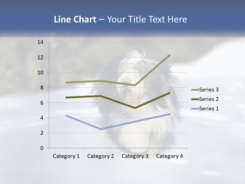A Dog Is Standing In The Snow On A Sunny Day PowerPoint Template