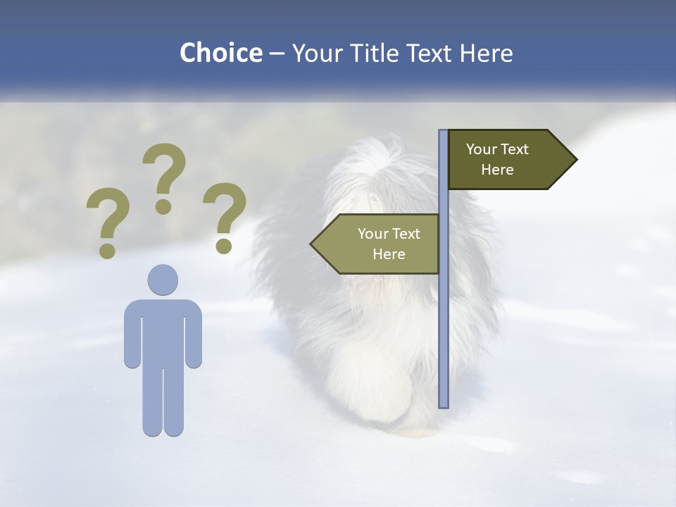 A Dog Is Standing In The Snow On A Sunny Day PowerPoint Template