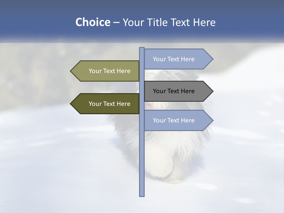 A Dog Is Standing In The Snow On A Sunny Day PowerPoint Template
