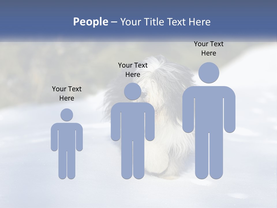 A Dog Is Standing In The Snow On A Sunny Day PowerPoint Template