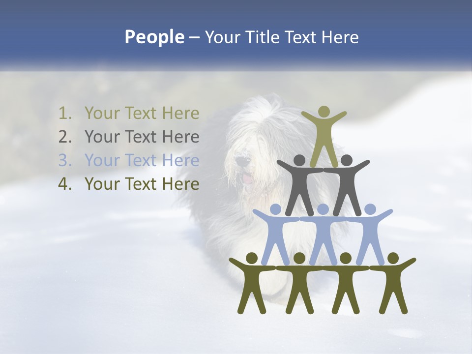A Dog Is Standing In The Snow On A Sunny Day PowerPoint Template