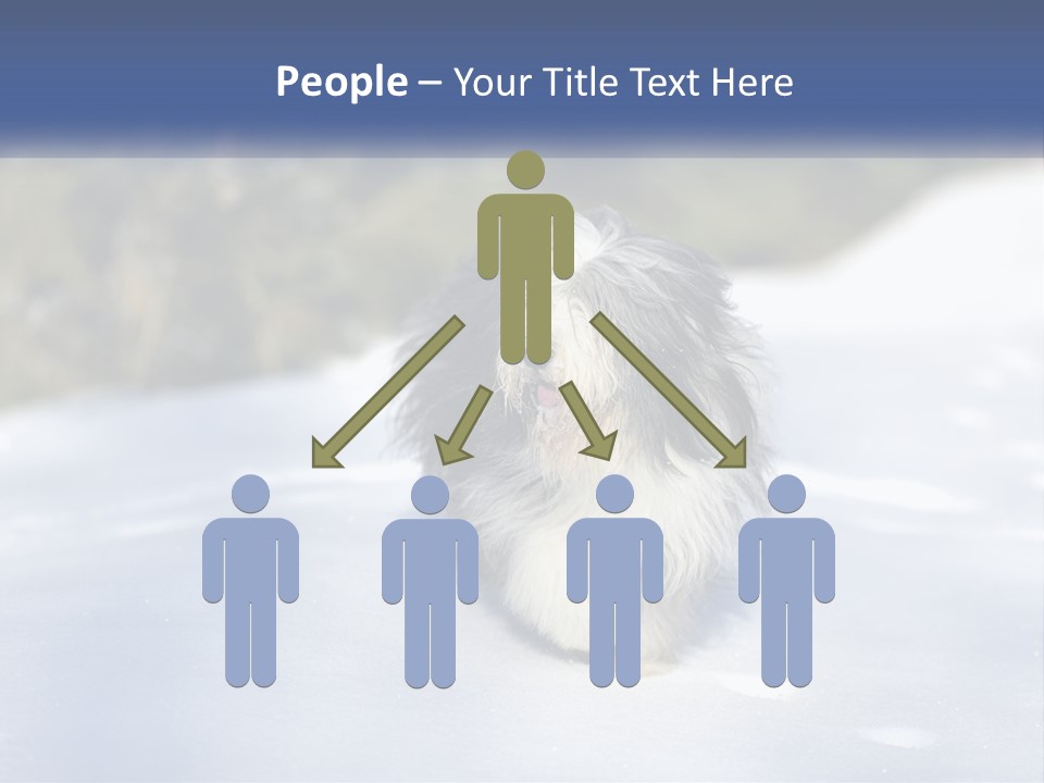 A Dog Is Standing In The Snow On A Sunny Day PowerPoint Template