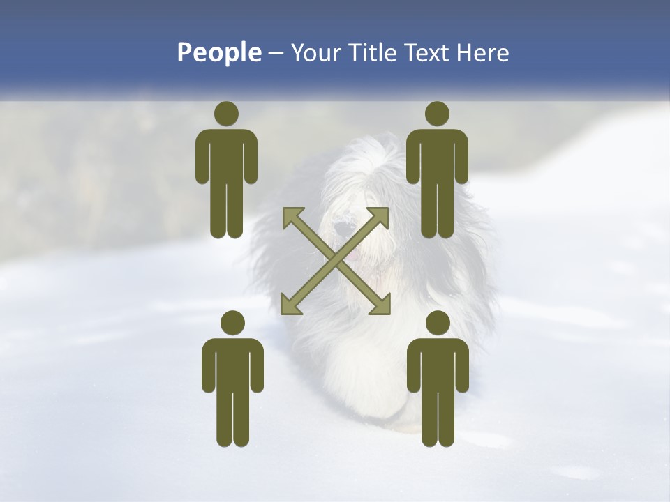 A Dog Is Standing In The Snow On A Sunny Day PowerPoint Template