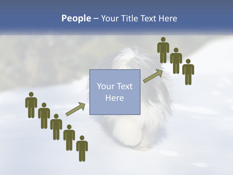A Dog Is Standing In The Snow On A Sunny Day PowerPoint Template