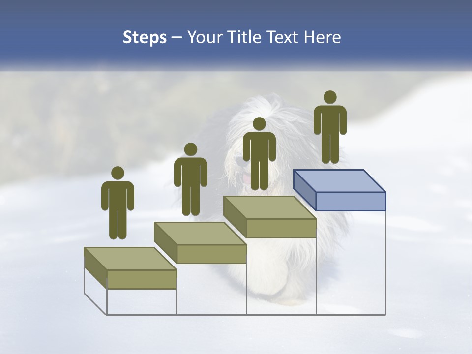 A Dog Is Standing In The Snow On A Sunny Day PowerPoint Template