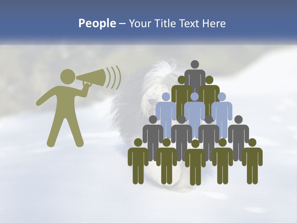 A Dog Is Standing In The Snow On A Sunny Day PowerPoint Template