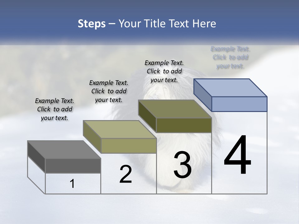 A Dog Is Standing In The Snow On A Sunny Day PowerPoint Template