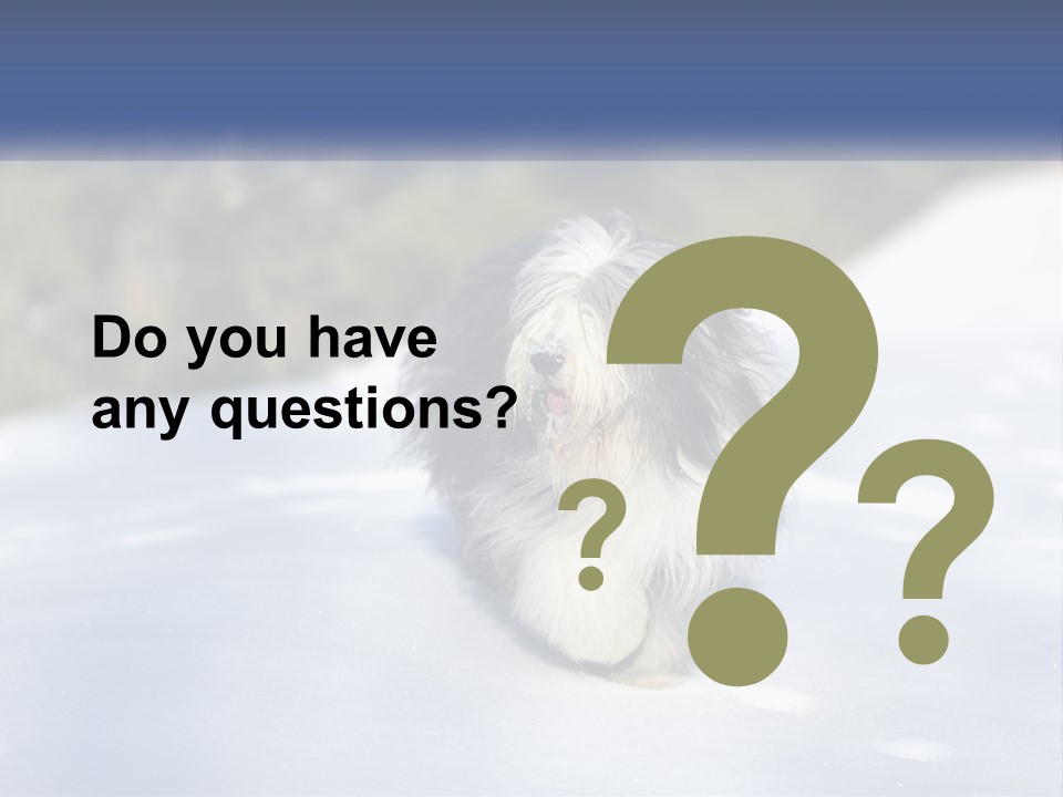 A Dog Is Standing In The Snow On A Sunny Day PowerPoint Template