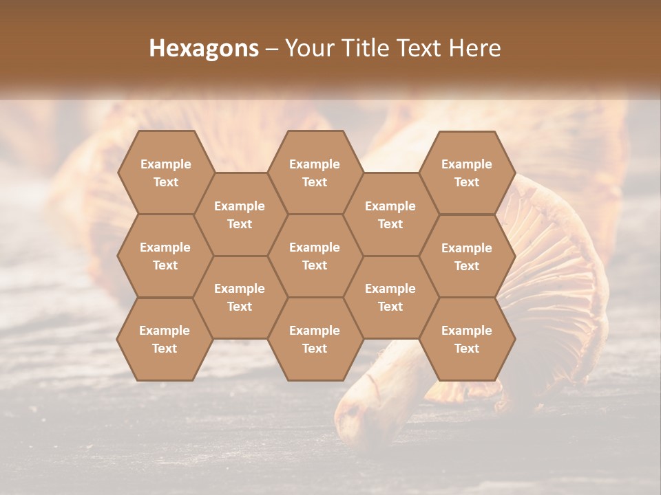 A Group Of Mushrooms Sitting On Top Of A Wooden Table PowerPoint Template