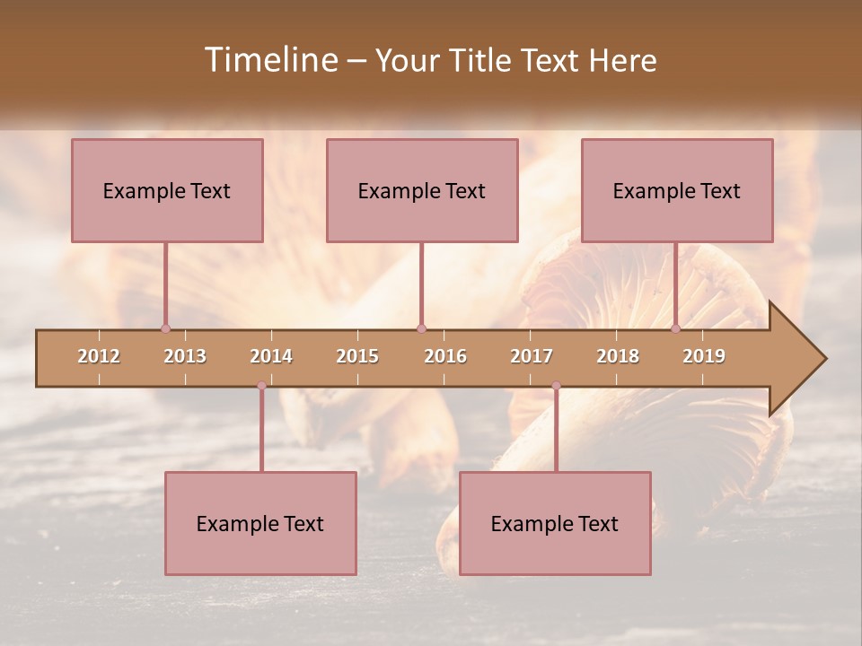 A Group Of Mushrooms Sitting On Top Of A Wooden Table PowerPoint Template