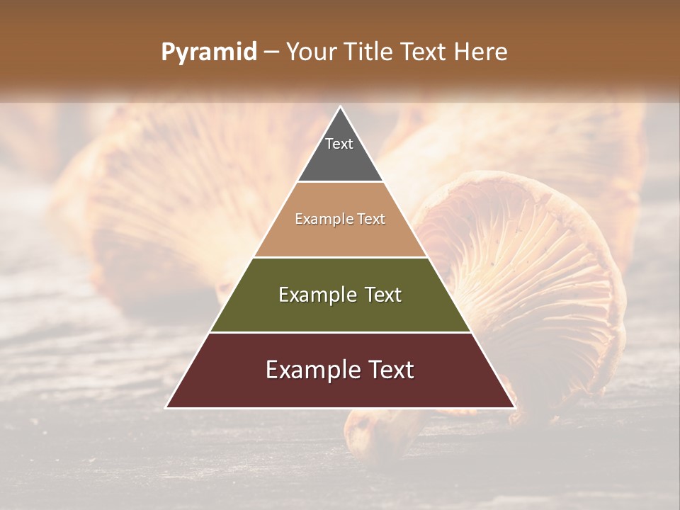 A Group Of Mushrooms Sitting On Top Of A Wooden Table PowerPoint Template