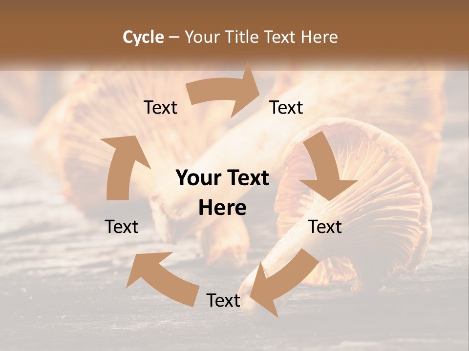 A Group Of Mushrooms Sitting On Top Of A Wooden Table PowerPoint Template