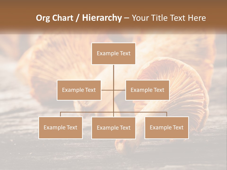 A Group Of Mushrooms Sitting On Top Of A Wooden Table PowerPoint Template