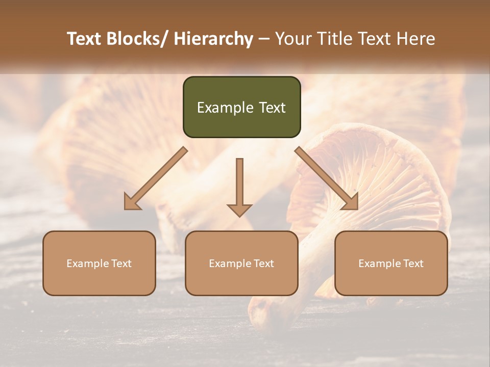 A Group Of Mushrooms Sitting On Top Of A Wooden Table PowerPoint Template