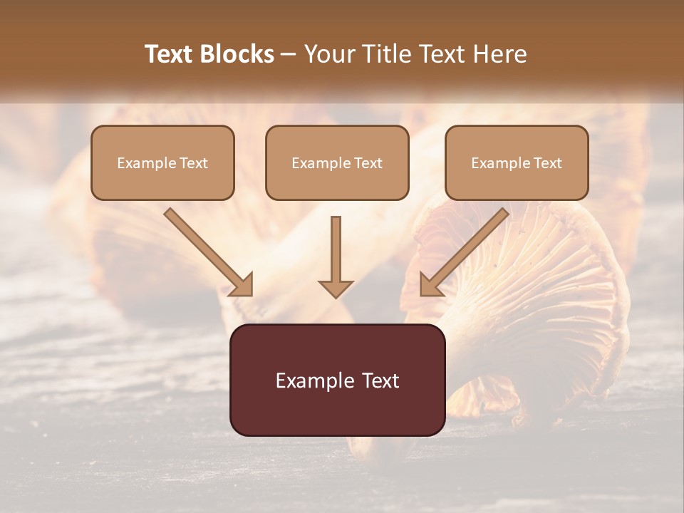 A Group Of Mushrooms Sitting On Top Of A Wooden Table PowerPoint Template