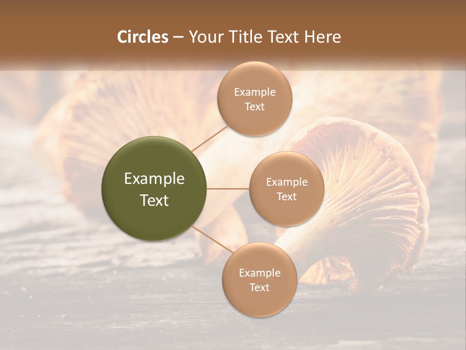 A Group Of Mushrooms Sitting On Top Of A Wooden Table PowerPoint Template