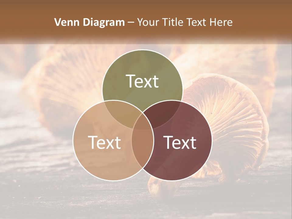 A Group Of Mushrooms Sitting On Top Of A Wooden Table PowerPoint Template