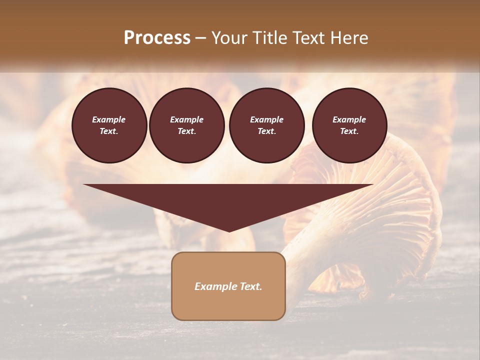 A Group Of Mushrooms Sitting On Top Of A Wooden Table PowerPoint Template