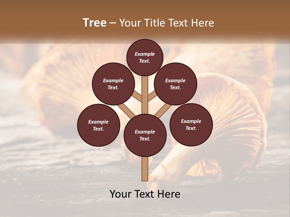 A Group Of Mushrooms Sitting On Top Of A Wooden Table PowerPoint Template