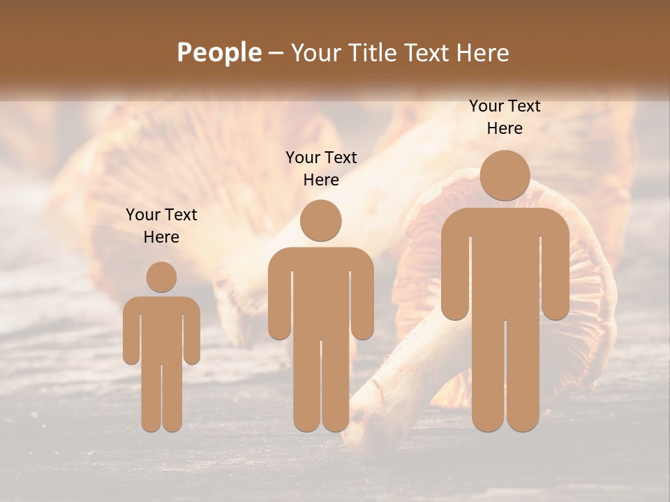 A Group Of Mushrooms Sitting On Top Of A Wooden Table PowerPoint Template