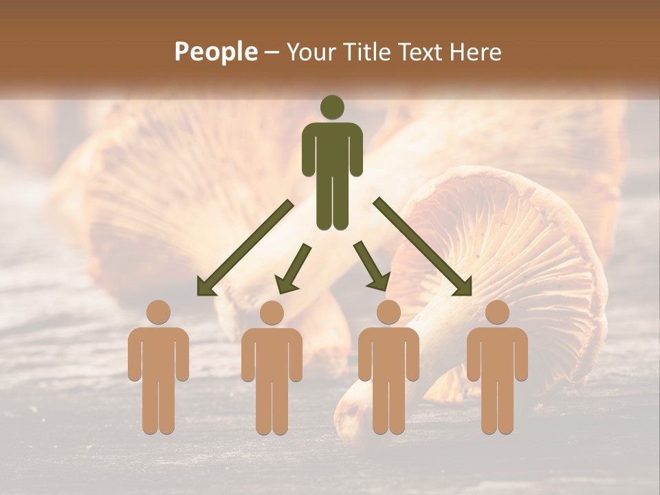 A Group Of Mushrooms Sitting On Top Of A Wooden Table PowerPoint Template