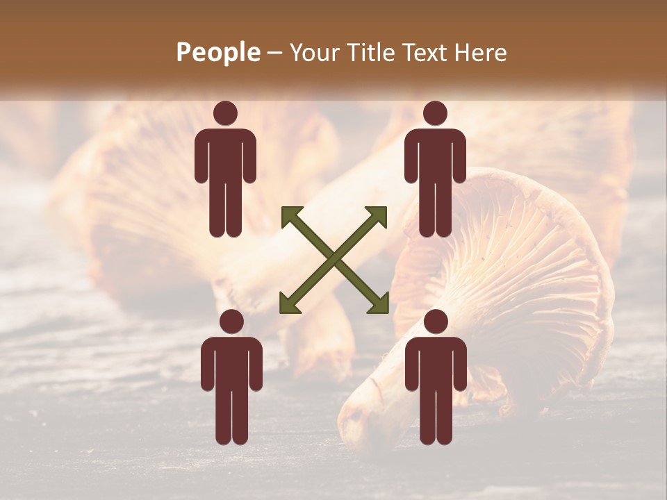 A Group Of Mushrooms Sitting On Top Of A Wooden Table PowerPoint Template