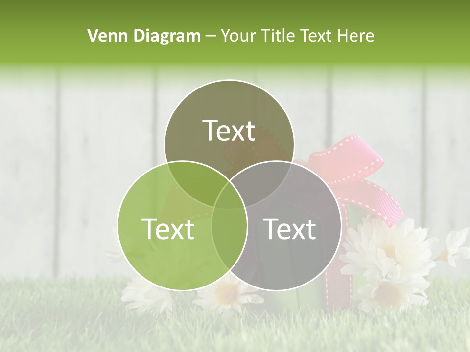A Present Box With A Pink Ribbon And Daisies On The Grass PowerPoint Template