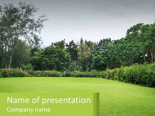 A Green Lawn With Bushes And Trees In The Background PowerPoint Template