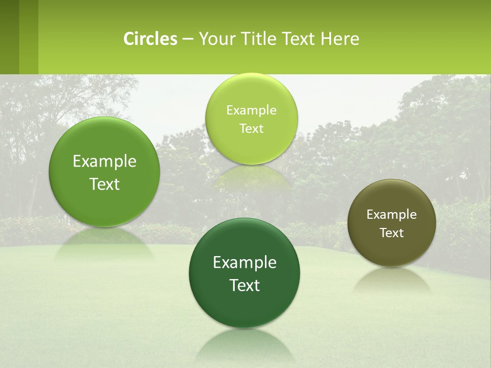 A Green Lawn With Bushes And Trees In The Background PowerPoint Template