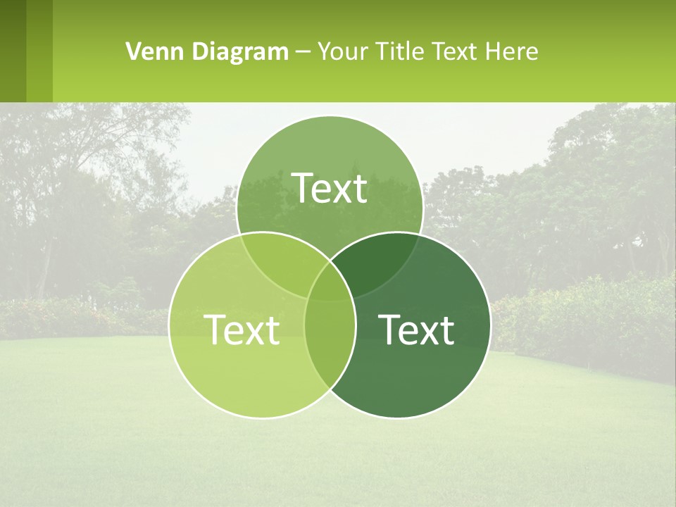A Green Lawn With Bushes And Trees In The Background PowerPoint Template