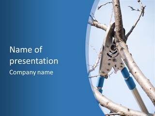 A Pair Of Scissors Are Stuck In A Tree PowerPoint Template