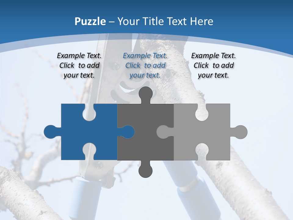 A Pair Of Scissors Are Stuck In A Tree PowerPoint Template