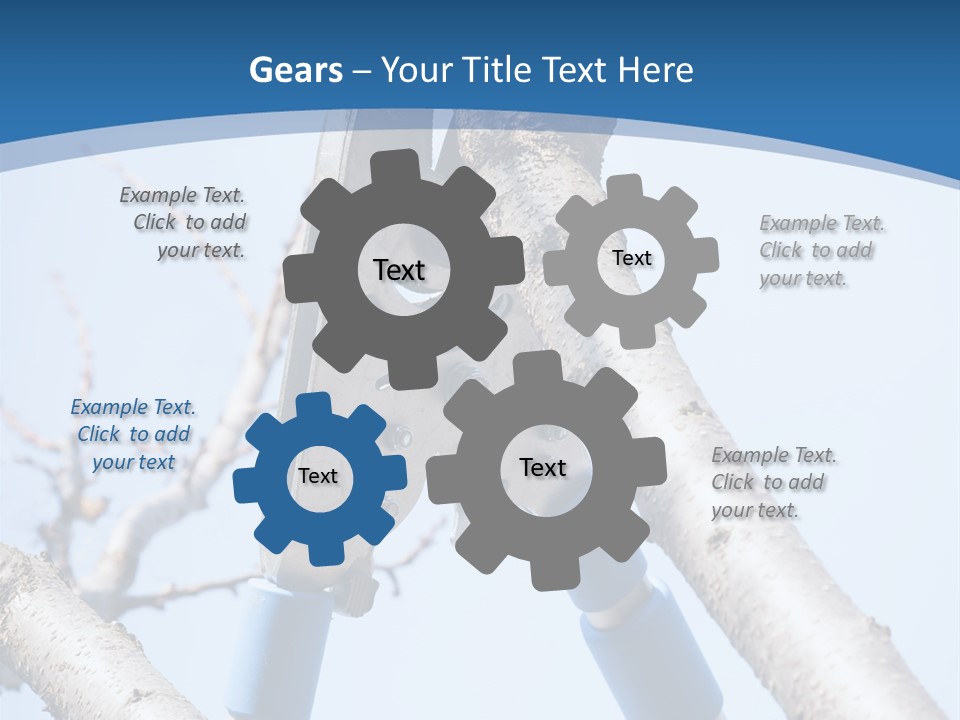 A Pair Of Scissors Are Stuck In A Tree PowerPoint Template