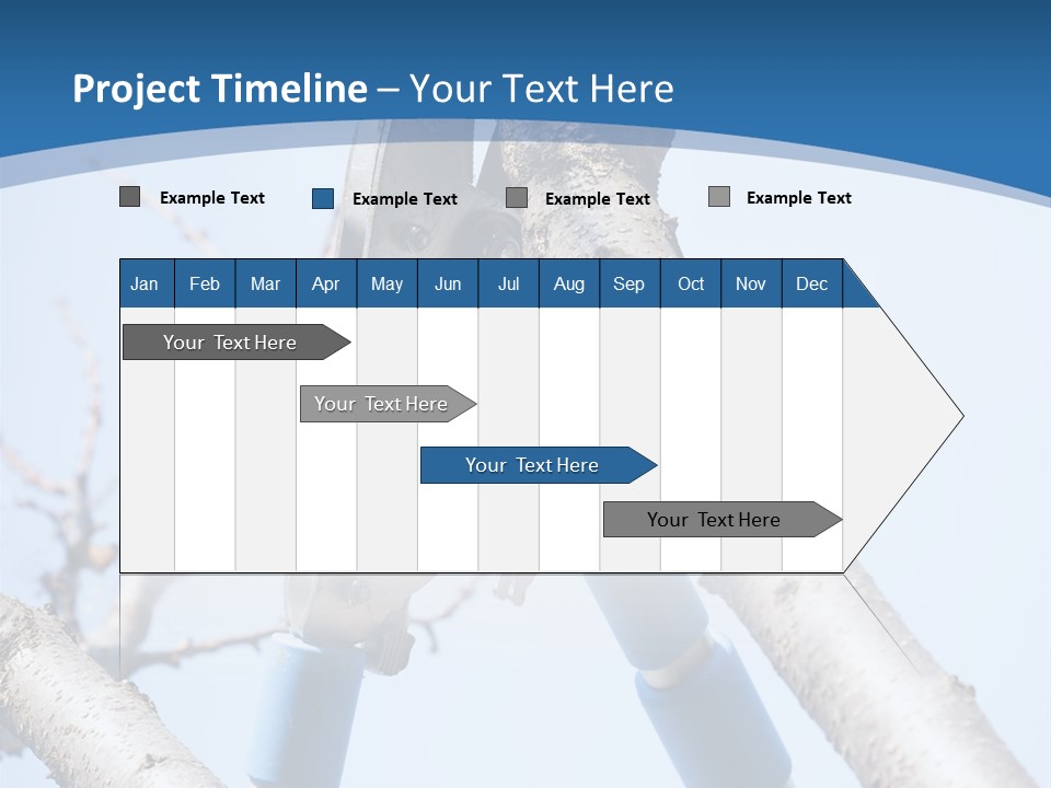 A Pair Of Scissors Are Stuck In A Tree PowerPoint Template