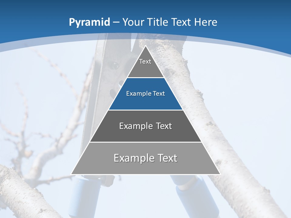 A Pair Of Scissors Are Stuck In A Tree PowerPoint Template
