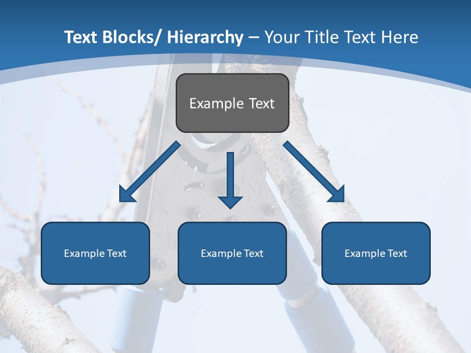 A Pair Of Scissors Are Stuck In A Tree PowerPoint Template