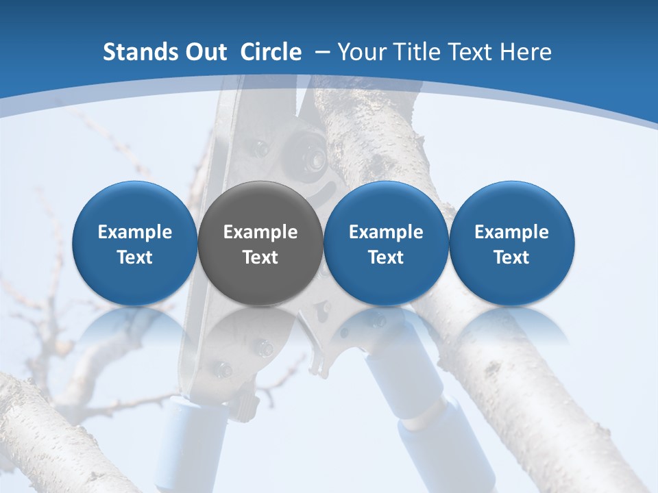 A Pair Of Scissors Are Stuck In A Tree PowerPoint Template