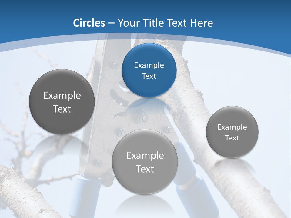 A Pair Of Scissors Are Stuck In A Tree PowerPoint Template