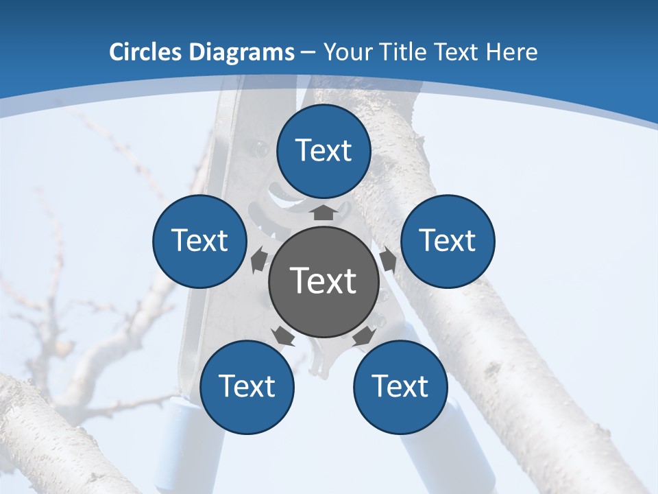 A Pair Of Scissors Are Stuck In A Tree PowerPoint Template