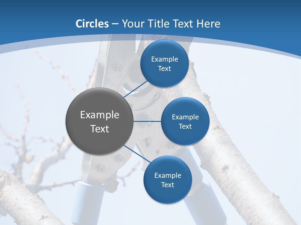 A Pair Of Scissors Are Stuck In A Tree PowerPoint Template