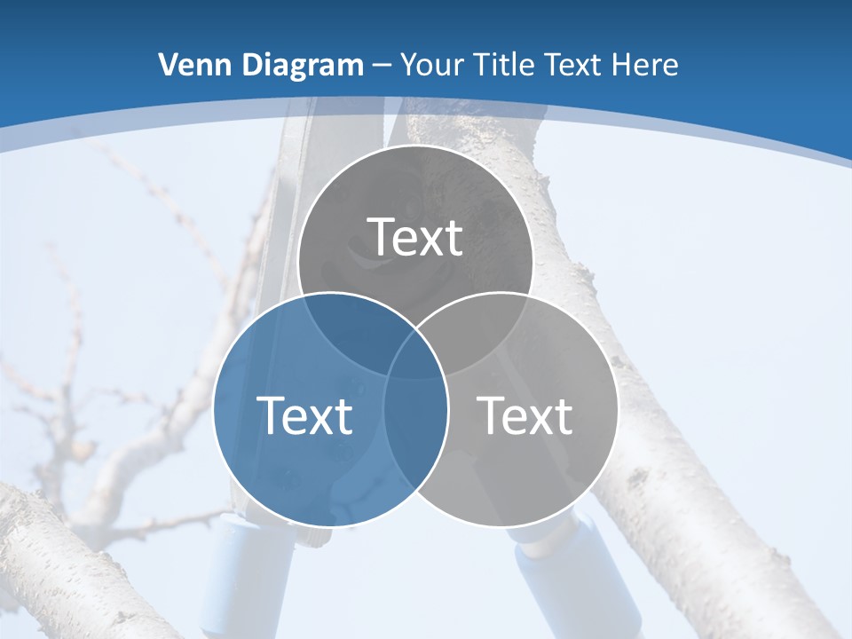 A Pair Of Scissors Are Stuck In A Tree PowerPoint Template