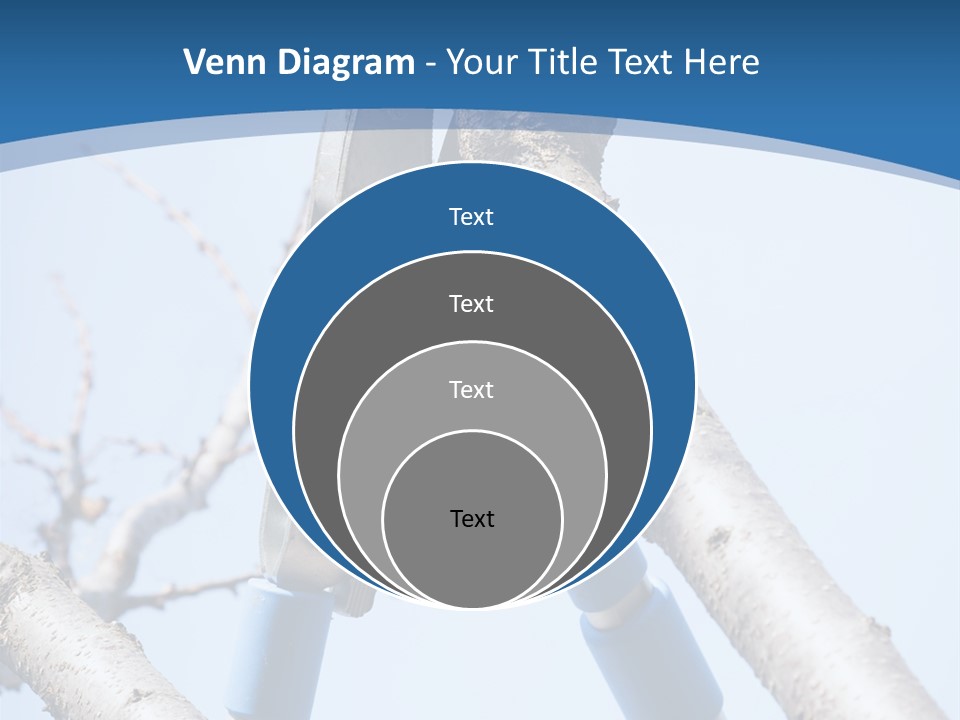 A Pair Of Scissors Are Stuck In A Tree PowerPoint Template