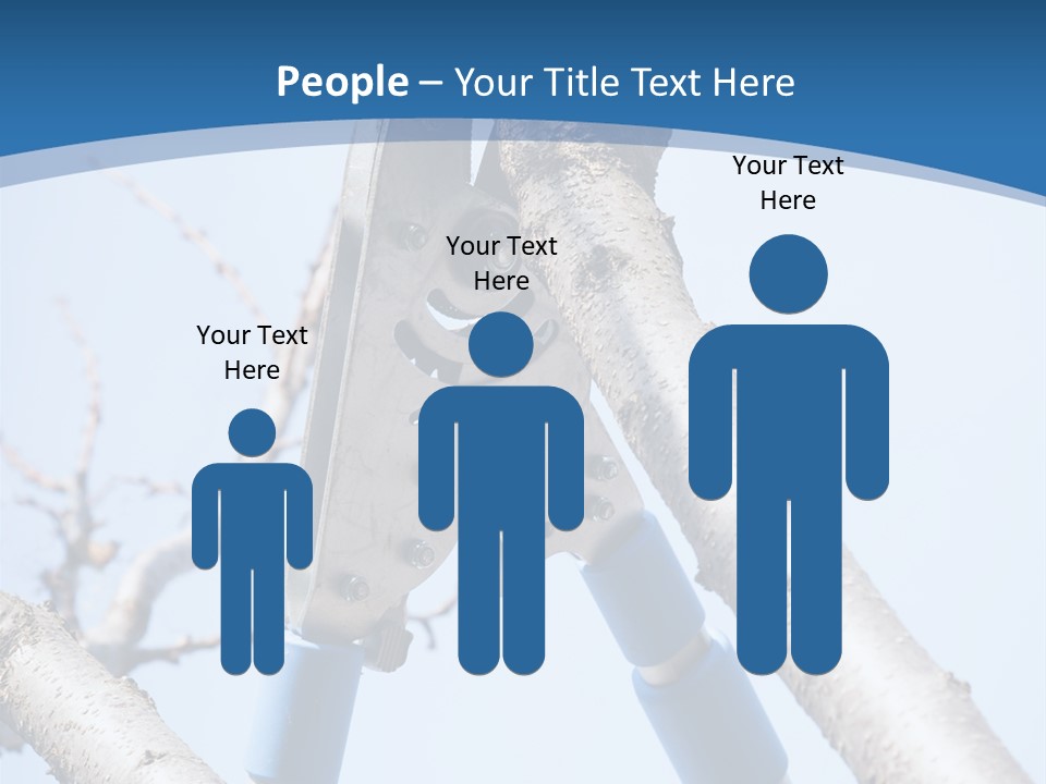 A Pair Of Scissors Are Stuck In A Tree PowerPoint Template