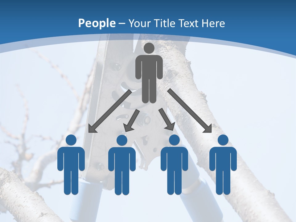 A Pair Of Scissors Are Stuck In A Tree PowerPoint Template