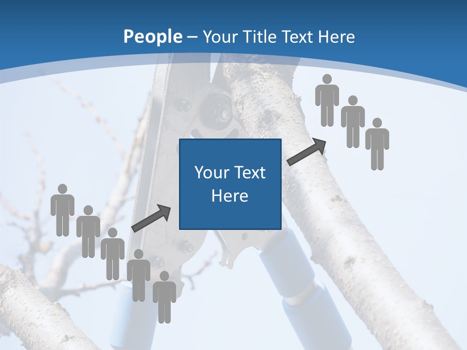 A Pair Of Scissors Are Stuck In A Tree PowerPoint Template