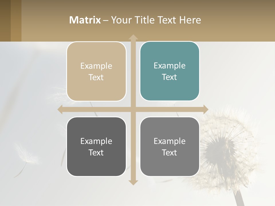 A Dandelion Powerpoint Presentation With A Sky Background PowerPoint Template