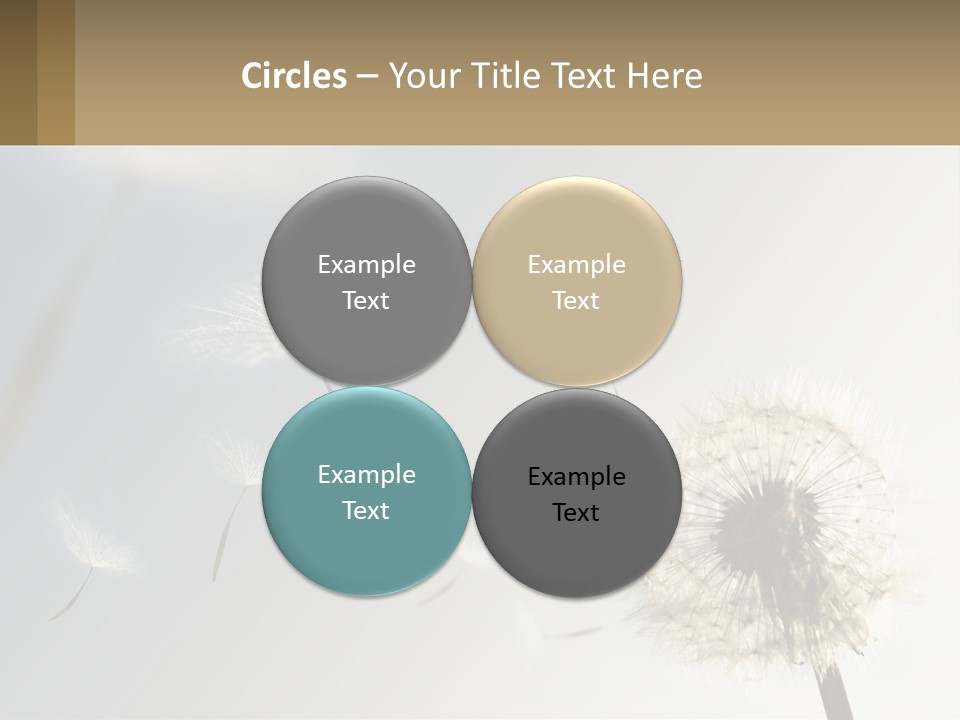 A Dandelion Powerpoint Presentation With A Sky Background PowerPoint Template