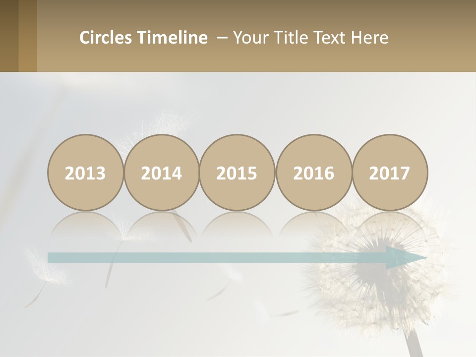 A Dandelion Powerpoint Presentation With A Sky Background PowerPoint Template